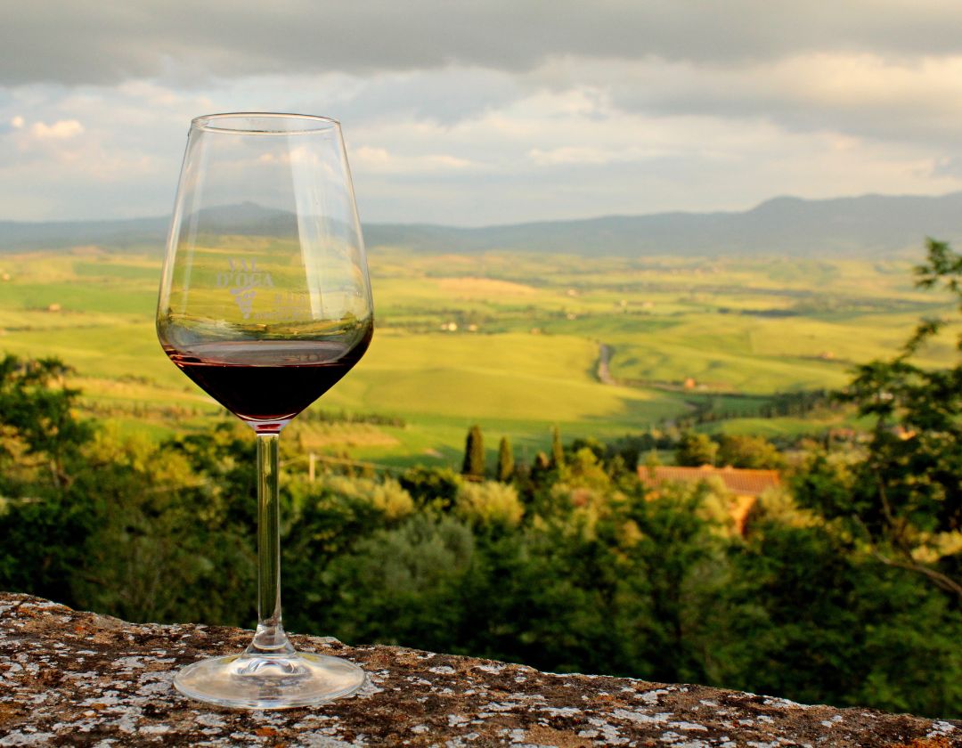 pshologie vin
