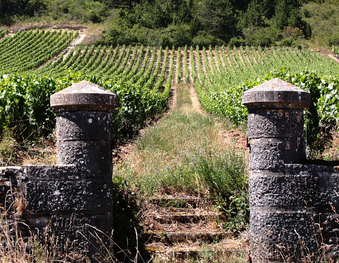 bourgogne 1
