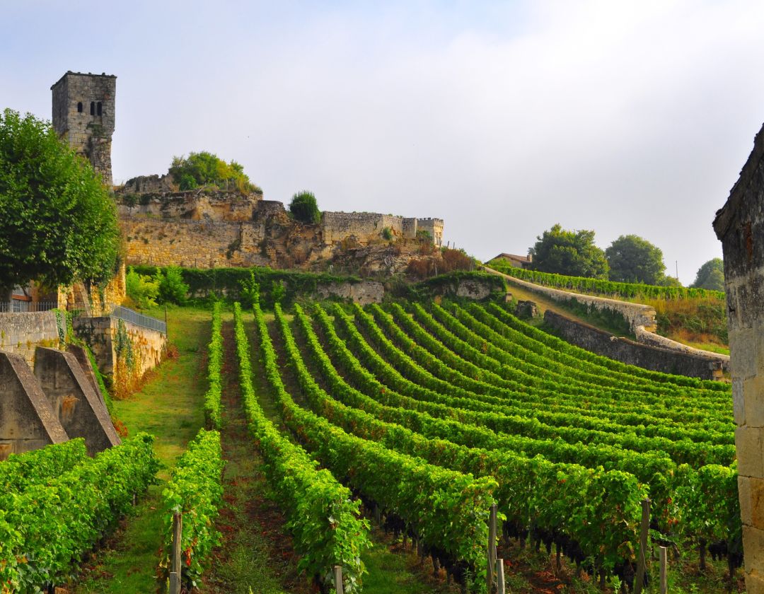 saint emilion