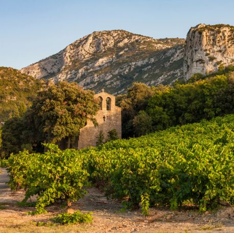 terss larzac