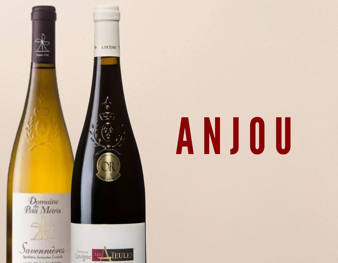 anjou