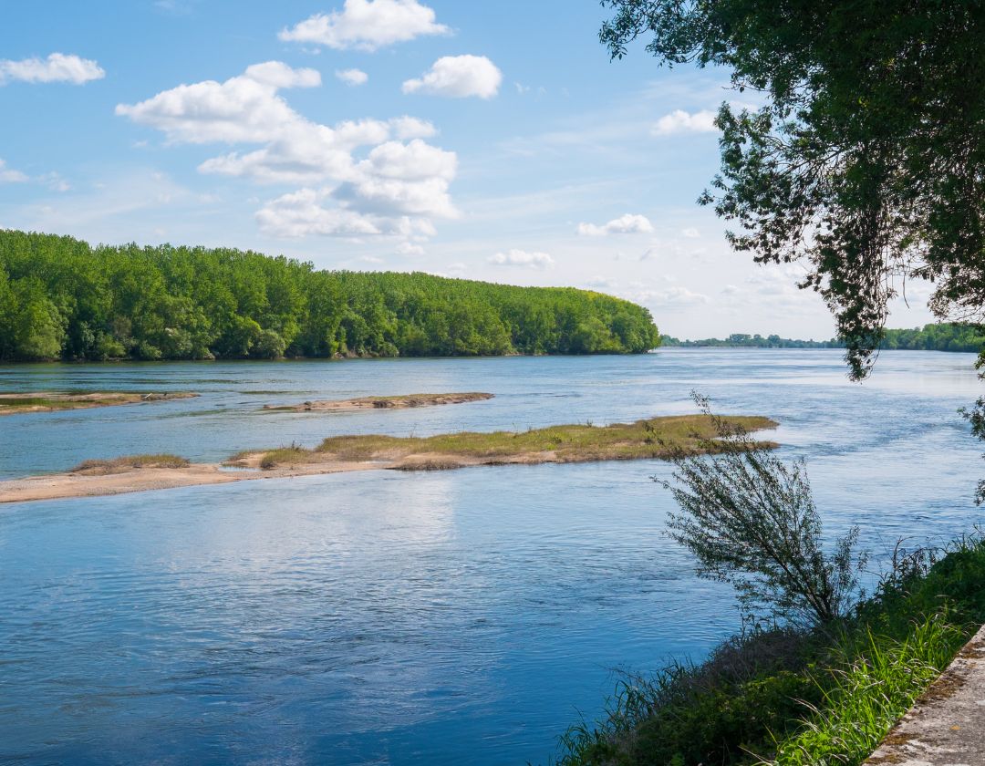 loiree