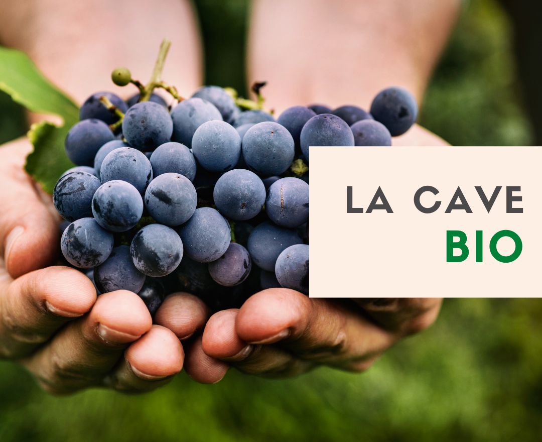Vinalia - Vous allez aimer l'achat de vins sur internet