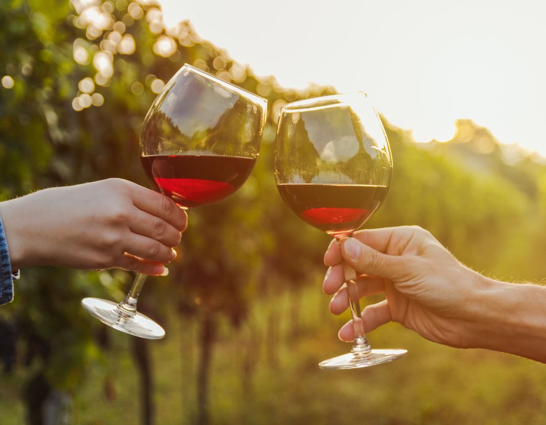 Vin rouge léger présenté pour la dégustation