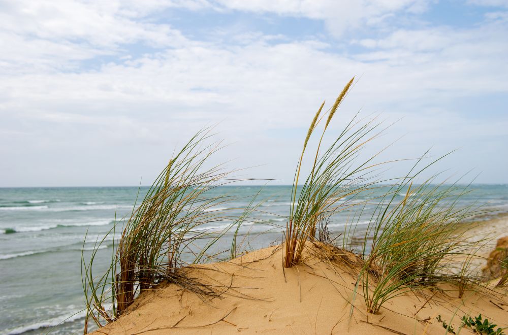 oleron