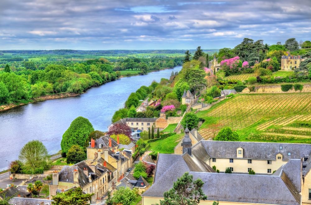 Illustration du vignoble de Chinon