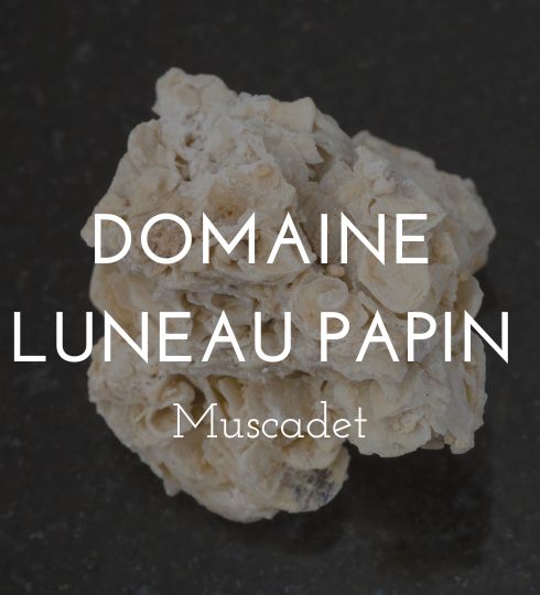 luneau papin
