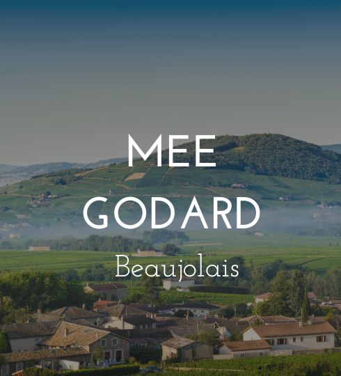 amee godard