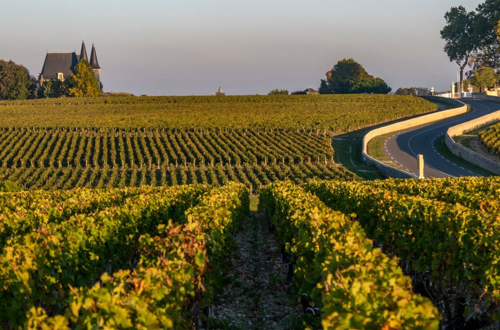 ht medoc