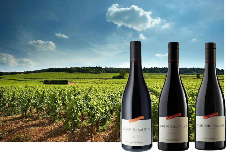 dubanddavidbourgogne