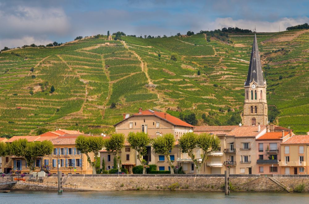 rhone bott