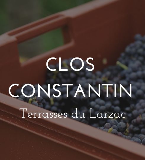 les vins rares 15