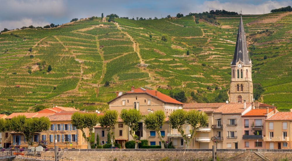 rhone guigla