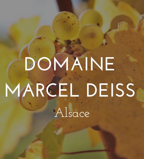 marcel deiss