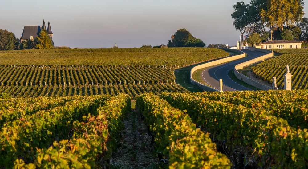 pauillac