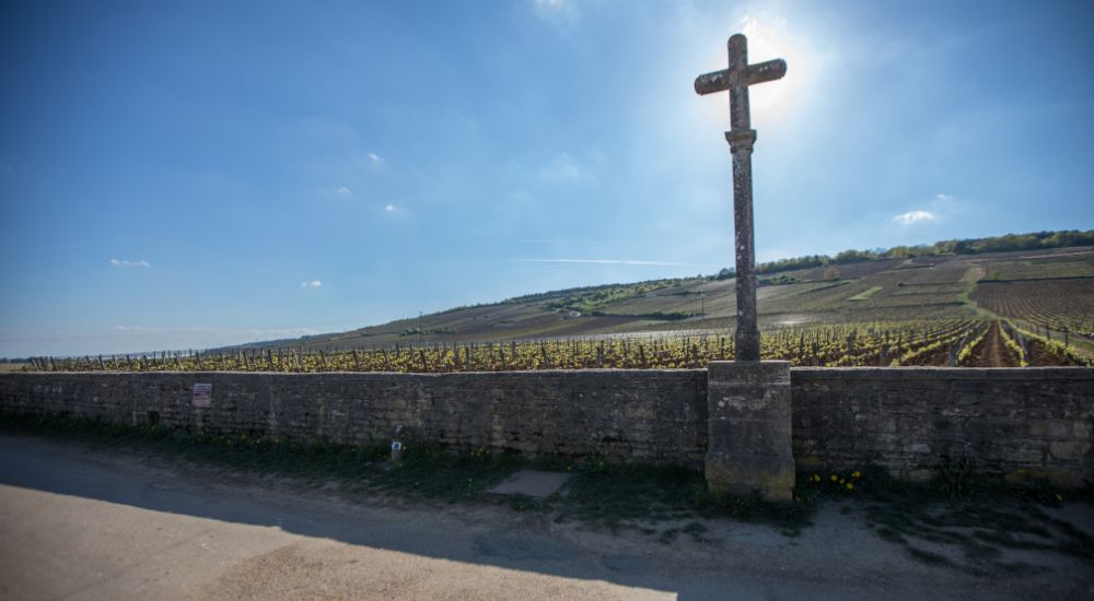 romanee conti
