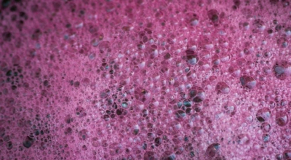 la maceration carbonqieu