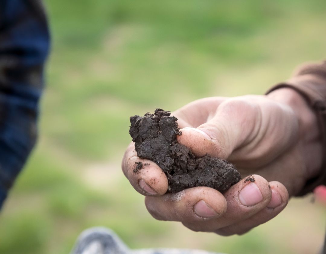 biodynamie