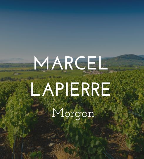 marcel lapierre