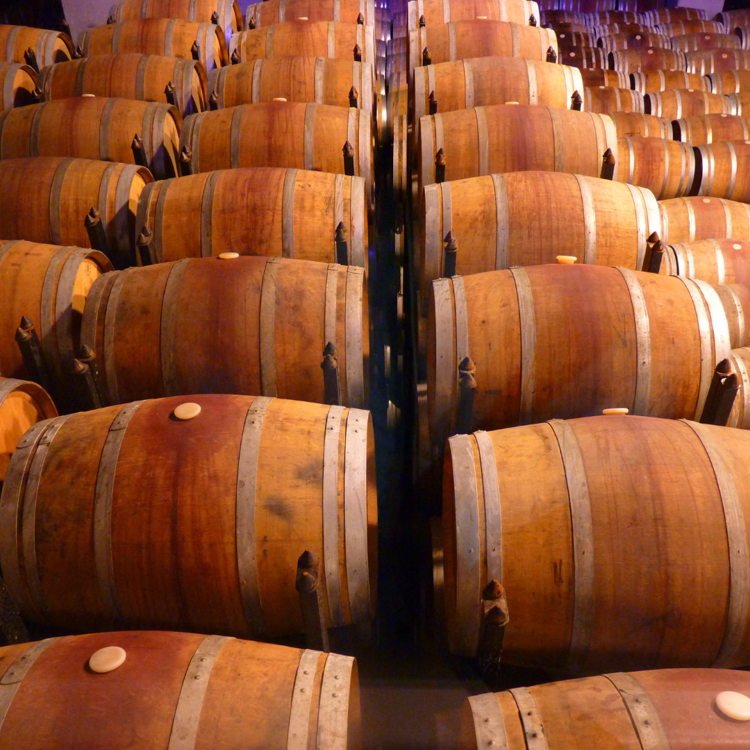 foires aux vins 1080 x 1080 px 16