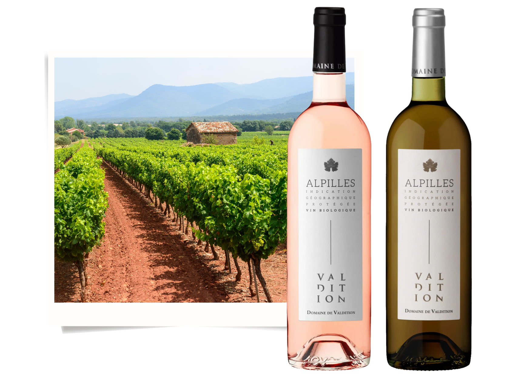 alpilles valdition