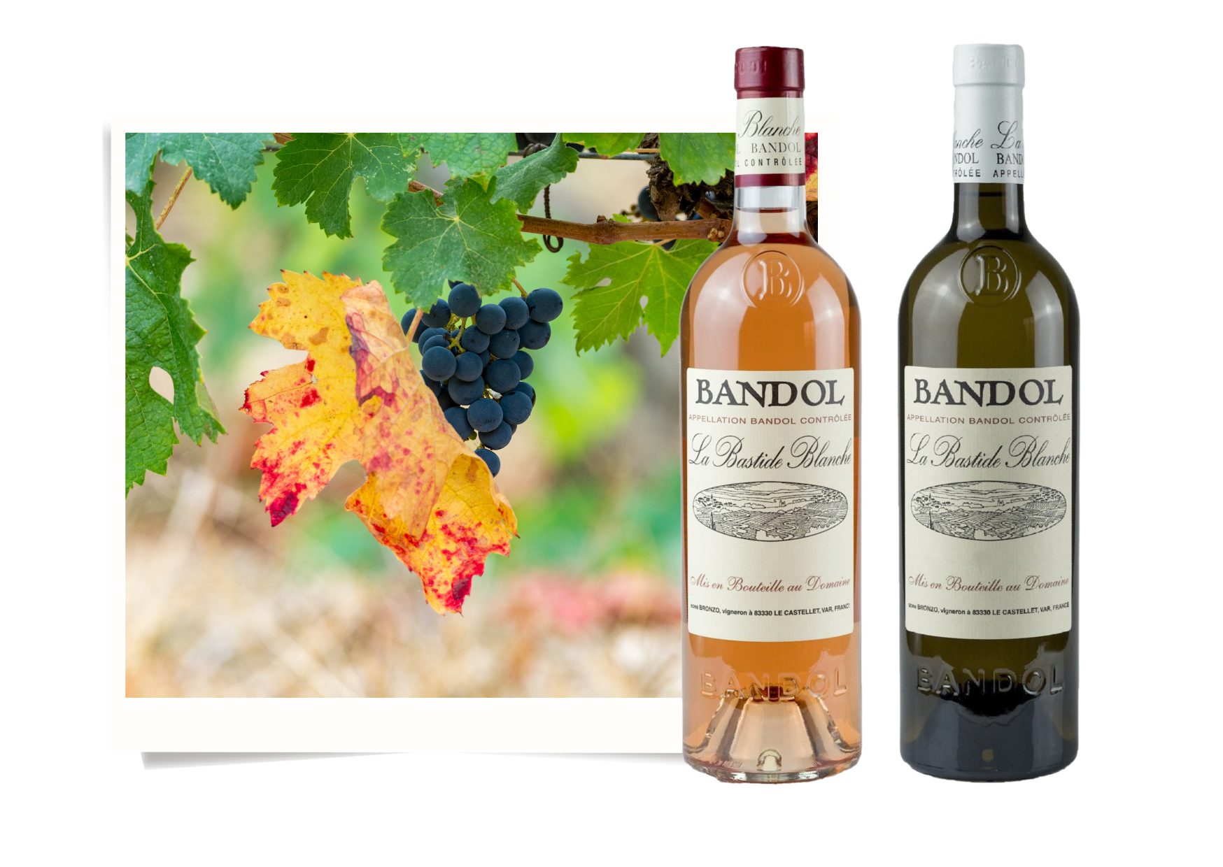 bandol bastide