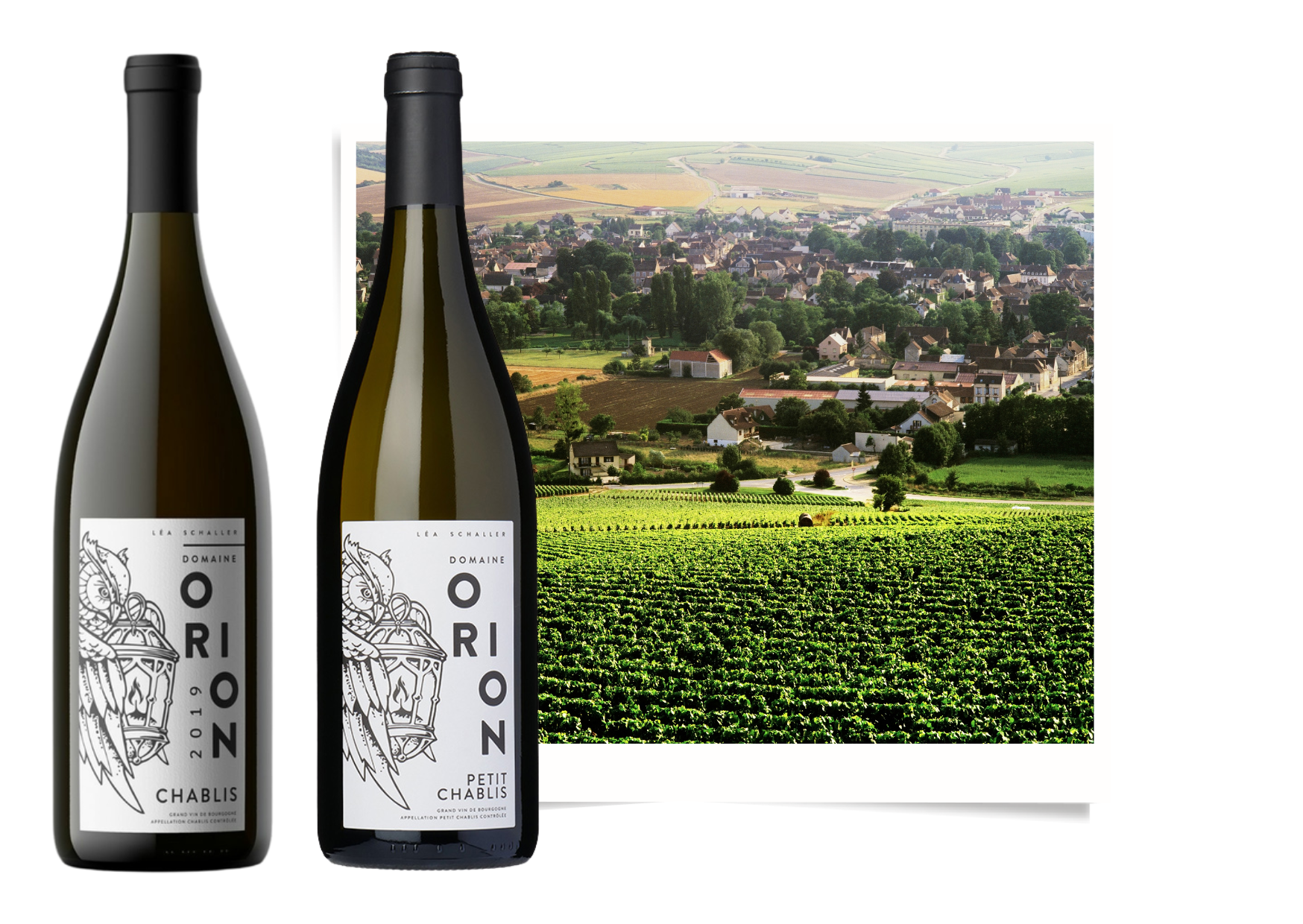 orion chablis