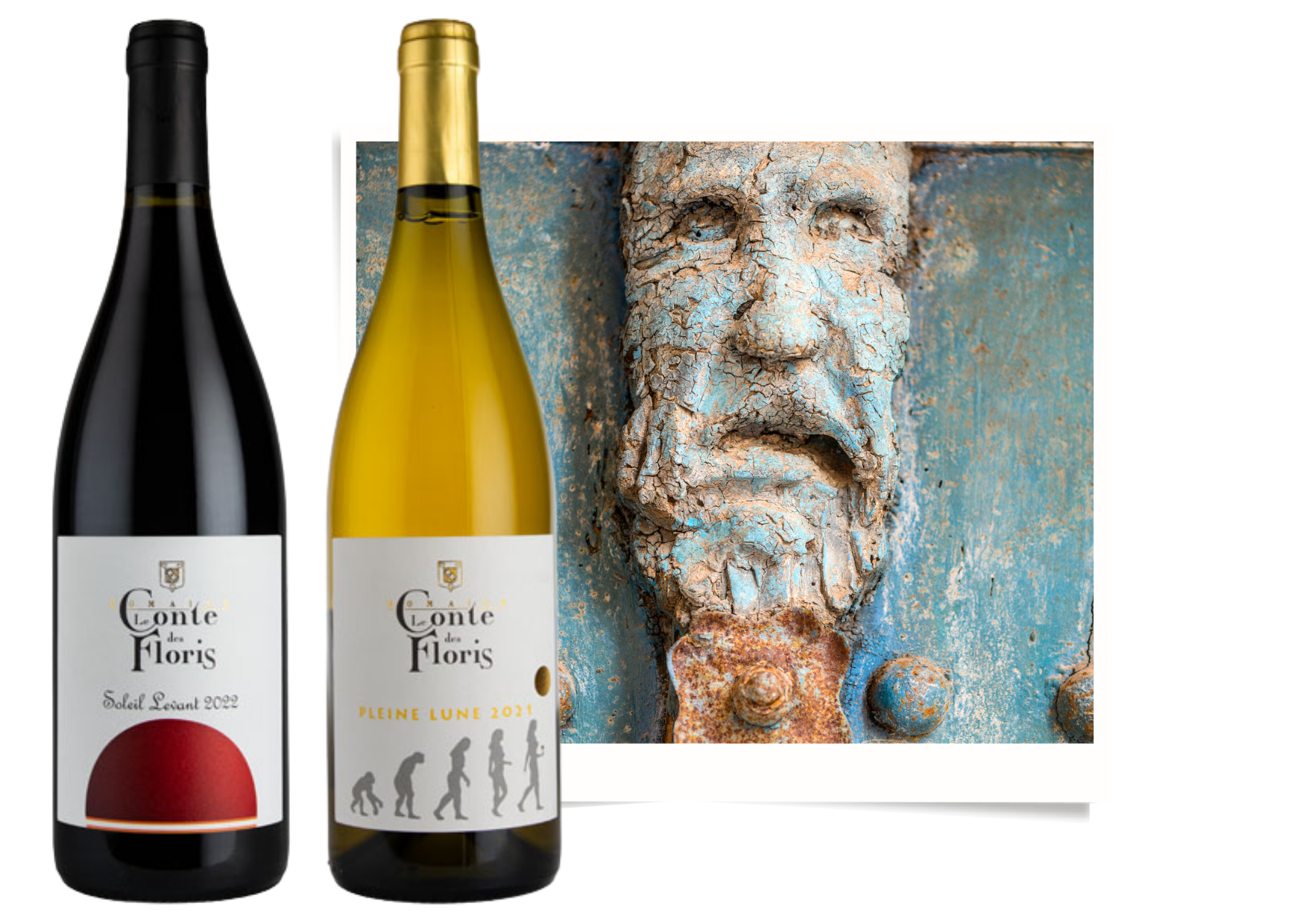 domaine le conte des floris