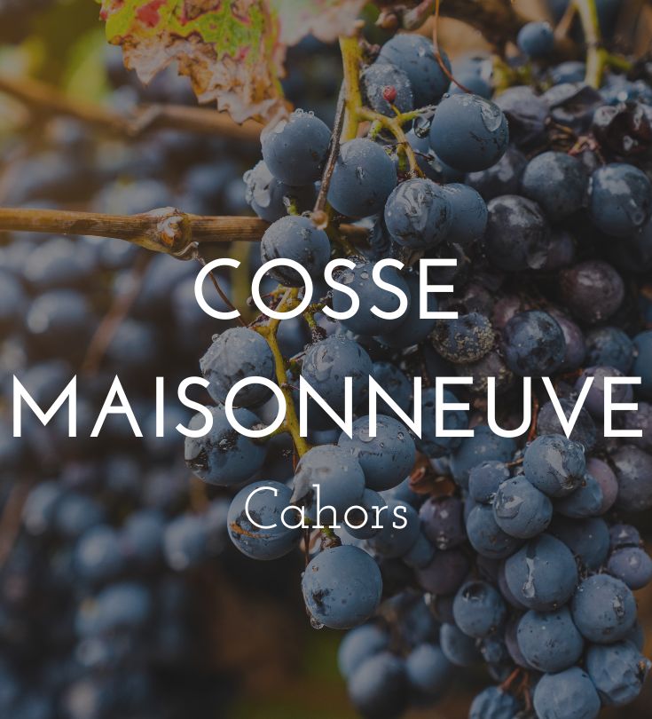 cosse maisonneuve
