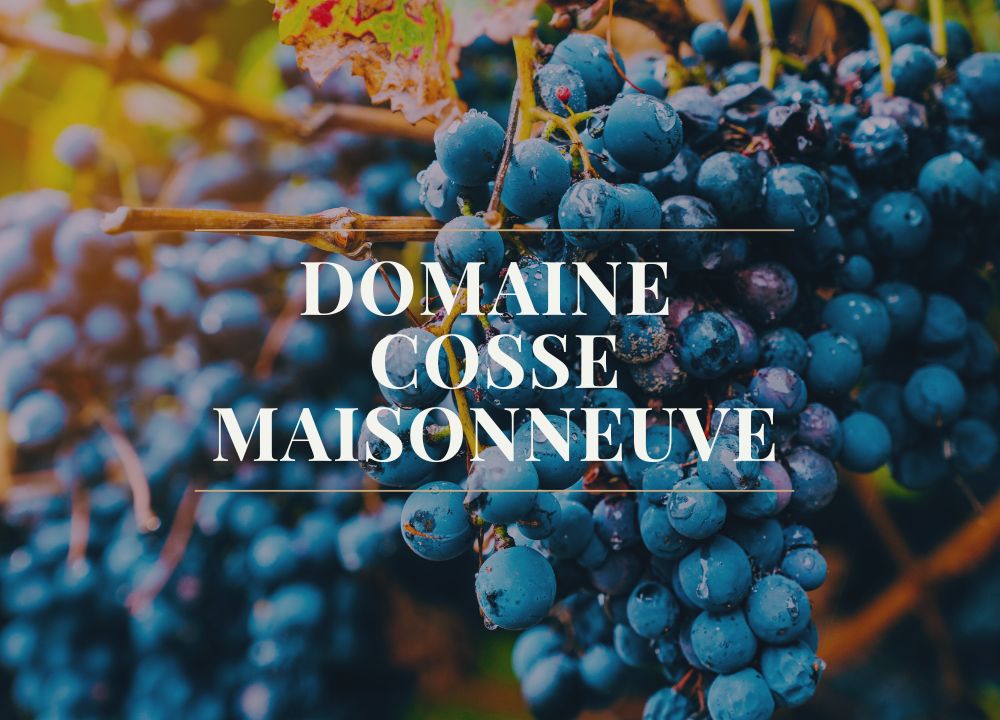 cosse maisonneuve