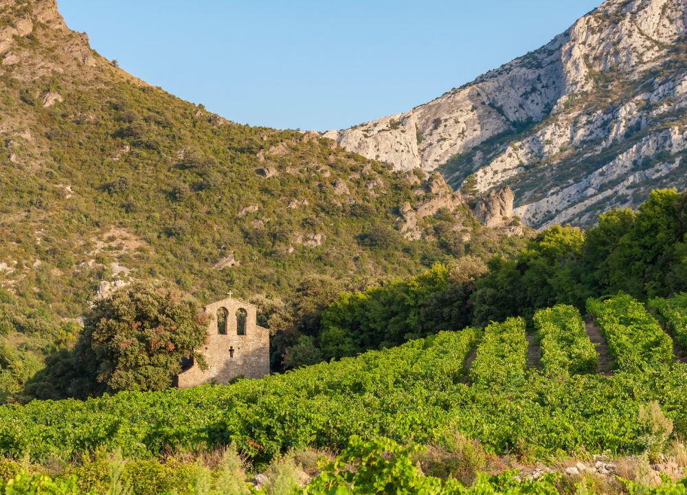 aniane vins