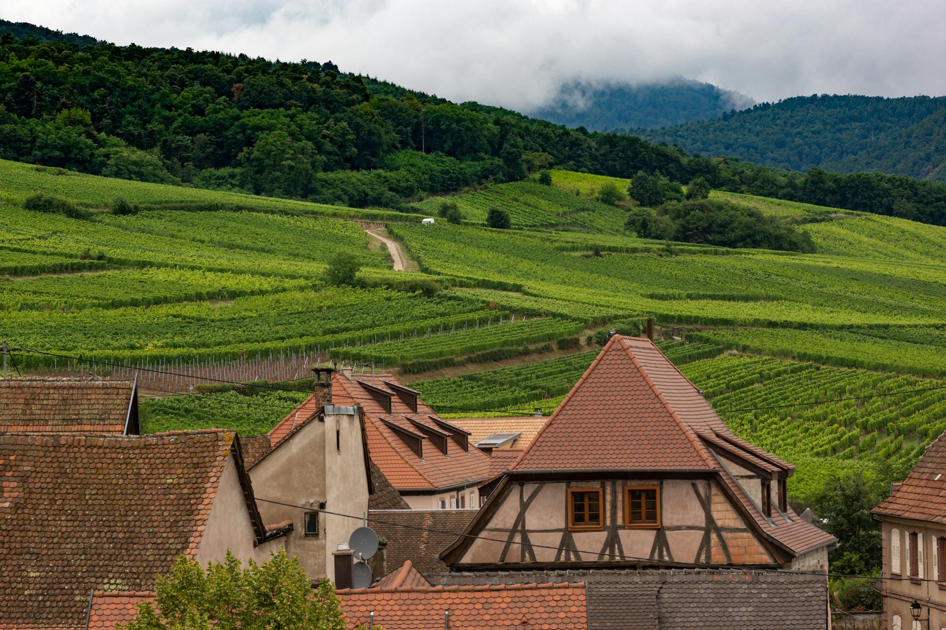 photographie de paysage de la ville pres de cropfield