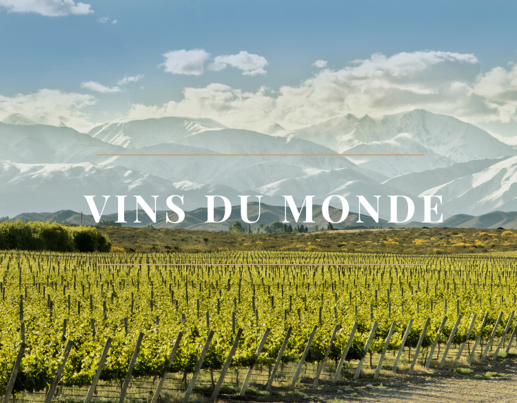vdm