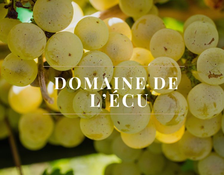 domaine de l ecu