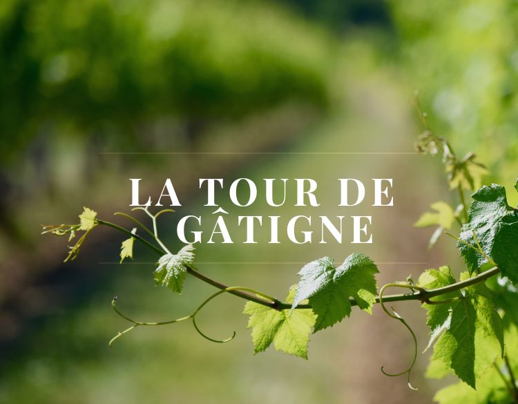 la tour de gatigne uzes