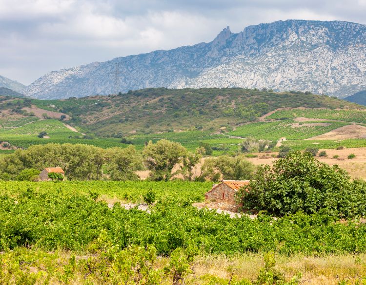 roussillon clos des fees