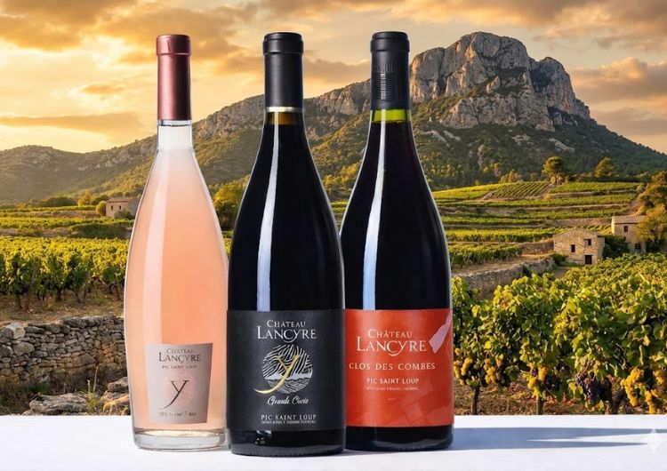 chateau lancyre vins