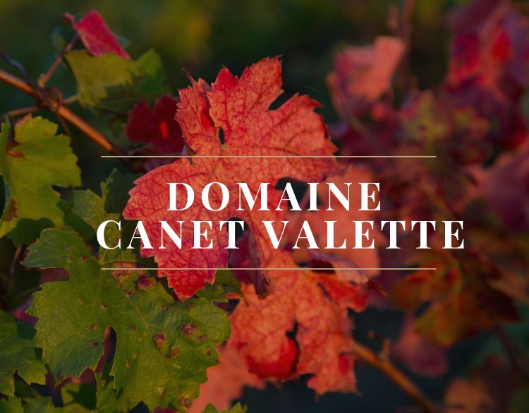 canet valette