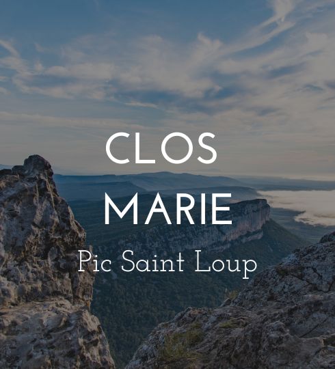 clos marie vin rare