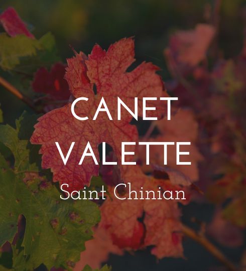 canet valette