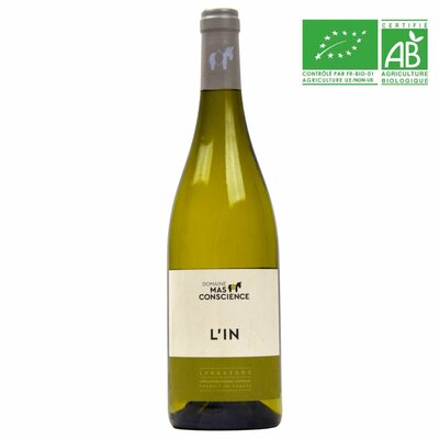 L'IN DOMAINE MAS CONSCIENCE