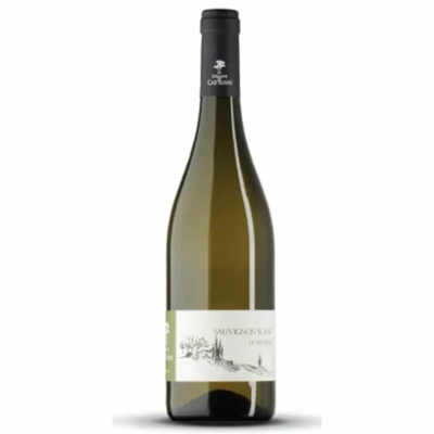 SAUVIGNON CASTELNAU