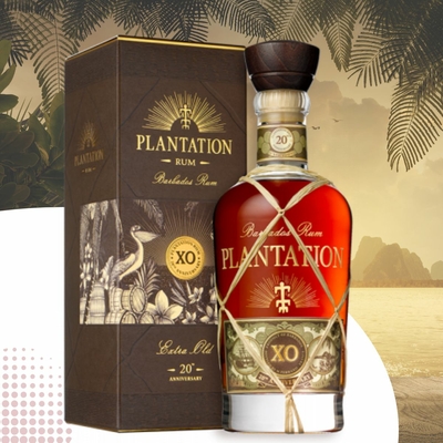 PLANTATION BARBADES