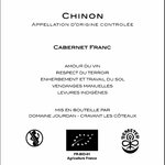 chinon
