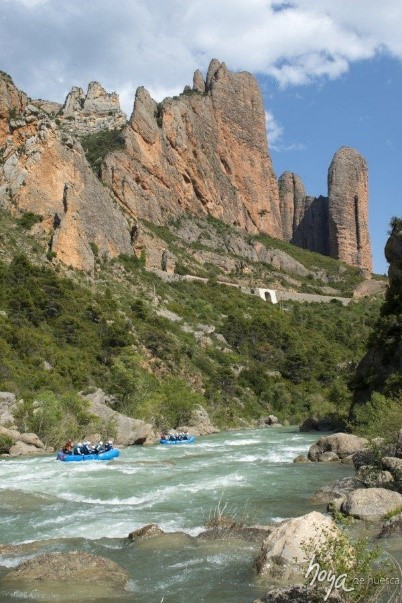 RAFT