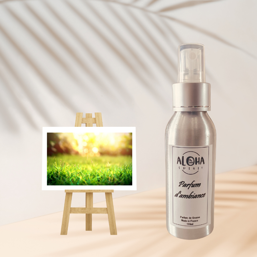 maison cocooning vaporisateur odeur agréable Spray d'ambiance parfum intérieur parfumés parfumé senteur herbe coupée jardin