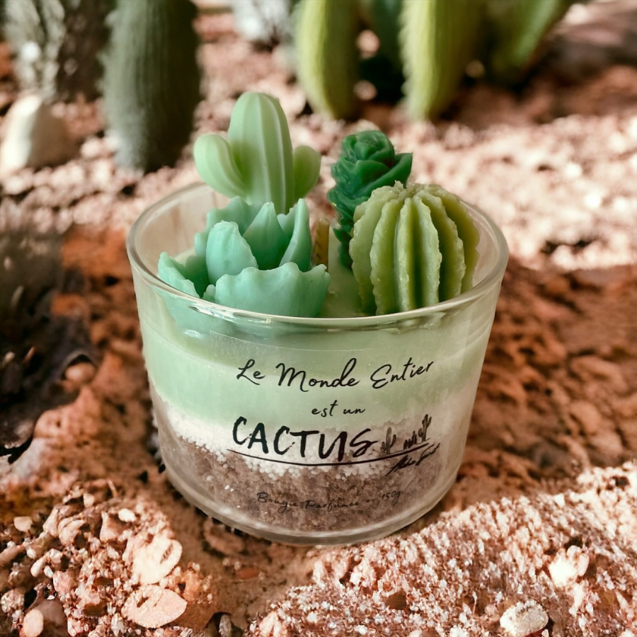bougie cactus cire végétale naturelle parfum de grasse home made fait maison main  français made in france imititaion jardin plantes succulentes