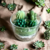 bougie cactus cire végétale naturelle parfum de grasse home made fait maison main  français made in france imititaion jardin plantes succulentes