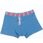 BoxerBleu
