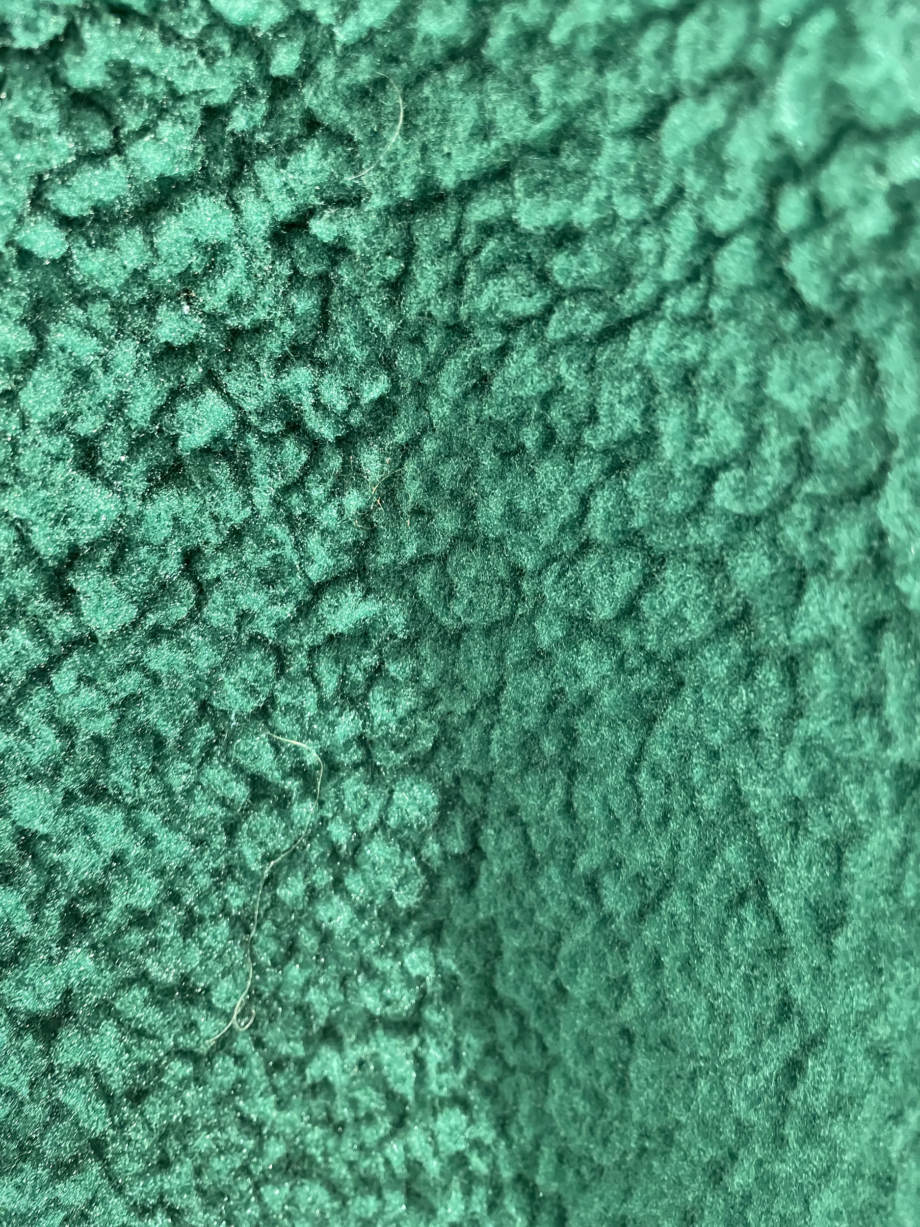 GILET VERT 2